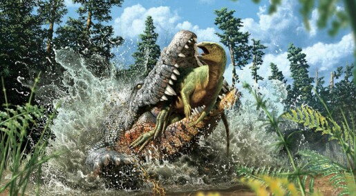 Krokodillens siste måltid var en dinosaur
