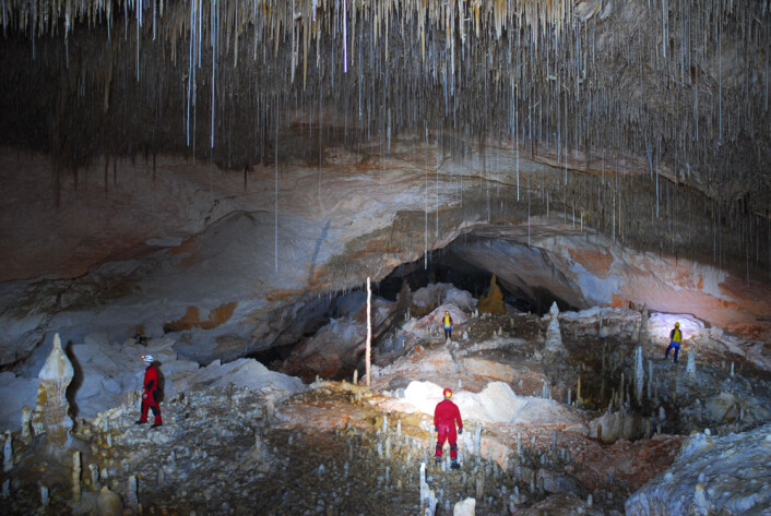 Rommet uten navn, i Vallgornera-grotten i Spania. (Foto: © Bogdan P. Onac) Rommet uten navn, i Vallgornera-grotten i Spania. (Foto: © Bogdan P. Onac)