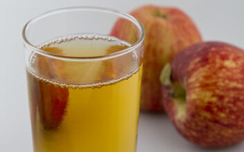 Ny og sunnere juice fra Lerum i vente. (Foto: Kjell J. Merok, Nofima) Ny og sunnere juice fra Lerum i vente. (Foto: Kjell J. Merok, Nofima)