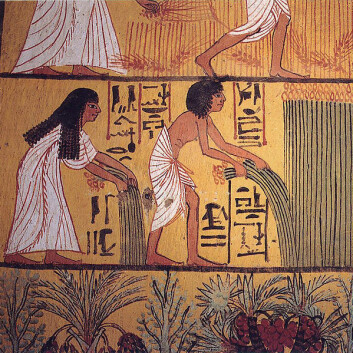 Veggmaleri fra Sennutems gravkammer i Luxor i Egypt (1550-1069 f.Kr). (Foto: Wikimedia Commons) Veggmaleri fra Sennutems gravkammer i Luxor i Egypt (1550-1069 f.Kr). (Foto: Wikimedia Commons)