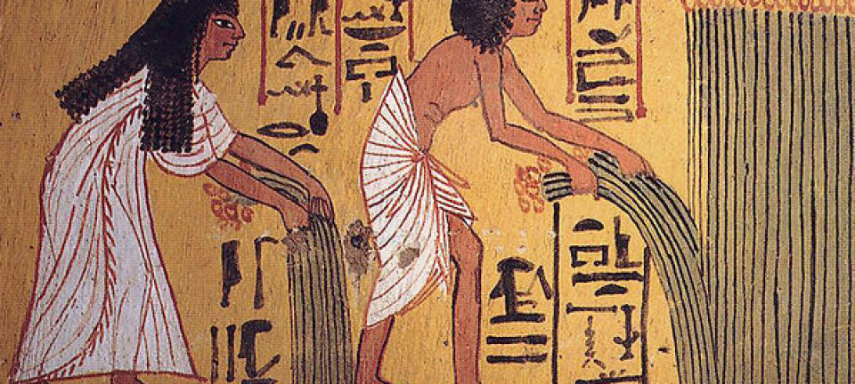 Veggmaleri fra Sennutems gravkammer i Luxor i Egypt (1550-1069 f.Kr). (Foto: Wikimedia Commons)