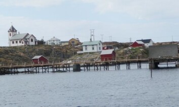 På Sauøy finnes sau, beiteland, dyrkamark og et fint kapell - men under ti mennesker på helårsbasis. (Foto: Katrina Rønningen) På Sauøy finnes sau, beiteland, dyrkamark og et fint kapell - men under ti mennesker på helårsbasis. (Foto: Katrina Rønningen)