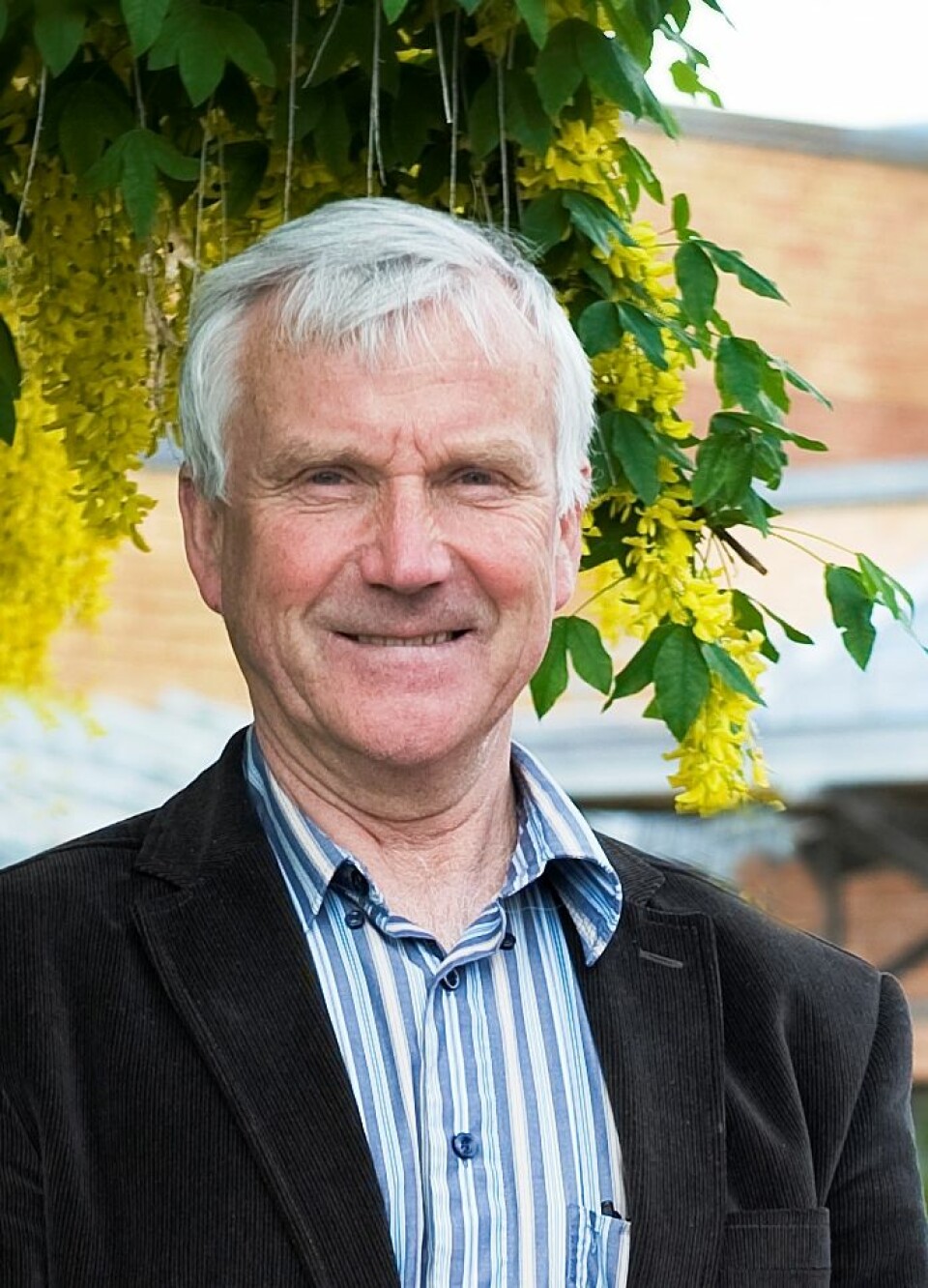 Høgskoledirektør Olav Refsdal. (Foto: Høgskolen i Vestfold)