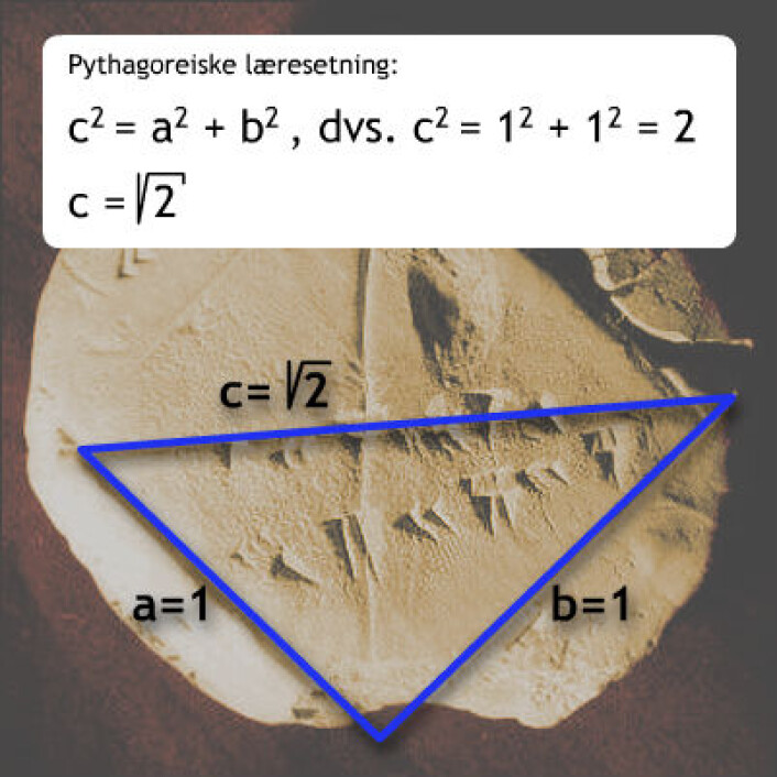 En av de rettvinklede trekantene i firkanten, med kortsider lik en. Den pythagoreiske læresetninge sier at diagonalen (hypotenusen) i annen (dvs. ganget med seg selv) er lik den ene kortsiden (dvs. katetet) i annen pluss den andre kortsiden i annen. Her: 1 ganger 1 pluss 1 ganger 1 er lik 2. Diagonalen blir da det tallet som ganget med seg selv er lik to, altså kvadratroten av 2. (Figur: forskning.no, foto: Bill Casselman, Creative Commons) En av de rettvinklede trekantene i firkanten, med kortsider lik en. Den pythagoreiske læresetninge sier at diagonalen (hypotenusen) i annen (dvs. ganget med seg selv) er lik den ene kortsiden (dvs. katetet) i annen pluss den andre kortsiden i annen. Her: 1 ganger 1 pluss 1 ganger 1 er lik 2. Diagonalen blir da det tallet som ganget med seg selv er lik to, altså kvadratroten av 2. (Figur: forskning.no, foto: Bill Casselman, Creative Commons)