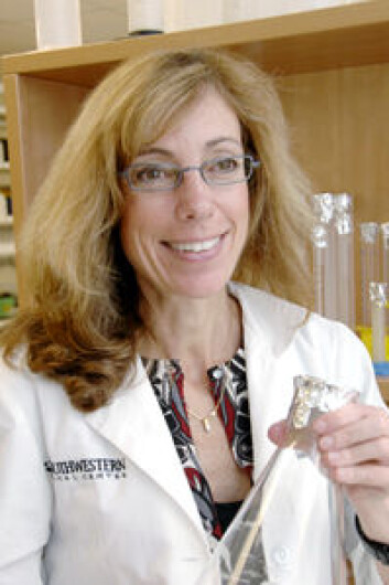 Deborah J. Clegg ved University of Texas Southwestern Medical Center. (Foto: UT Southwestern Medical Center) Deborah J. Clegg ved University of Texas Southwestern Medical Center. (Foto: UT Southwestern Medical Center)