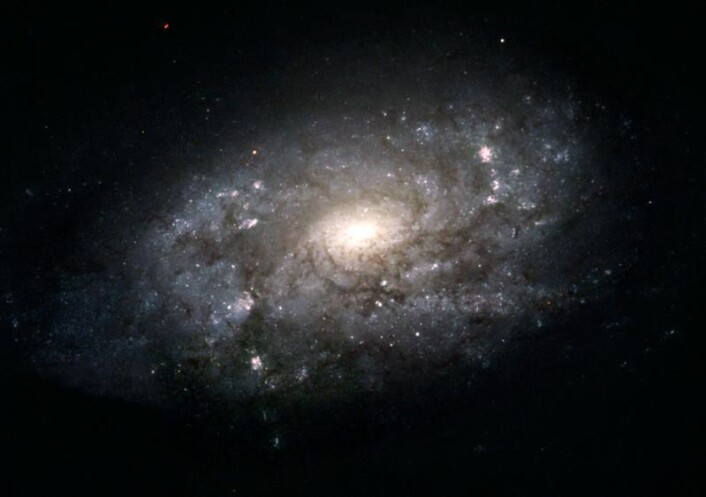 Dette er spiralgalaksen NGC 3949 - en galakse som ligner på Melkeveien. Som vår egen galakse, har den en blå disk med unge stjerner, pepret med rosa regioner for stjernefødsler. I motsetning til den blå disken, er den lyse, sentrale utbulningen (magen) stort sett sammensatt av eldre, rødere stjerner. (Foto: NASA, ESA og The Hubble Heritage Team (STScI/AURA)) Dette er spiralgalaksen NGC 3949 - en galakse som ligner på Melkeveien. Som vår egen galakse, har den en blå disk med unge stjerner, pepret med rosa regioner for stjernefødsler. I motsetning til den blå disken, er den lyse, sentrale utbulningen (magen) stort sett sammensatt av eldre, rødere stjerner. (Foto: NASA, ESA og The Hubble Heritage Team (STScI/AURA))