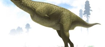 Nyoppdaget dinosaur har bitte små armer