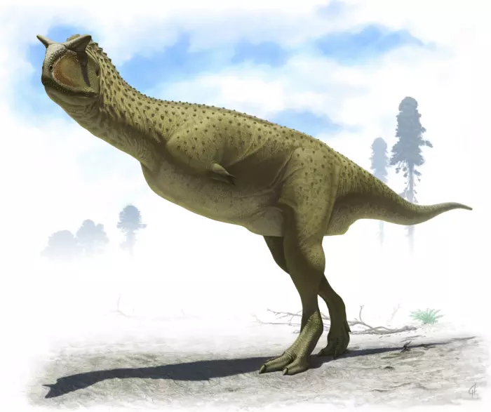 Nyoppdaget dinosaur har bitte små armer