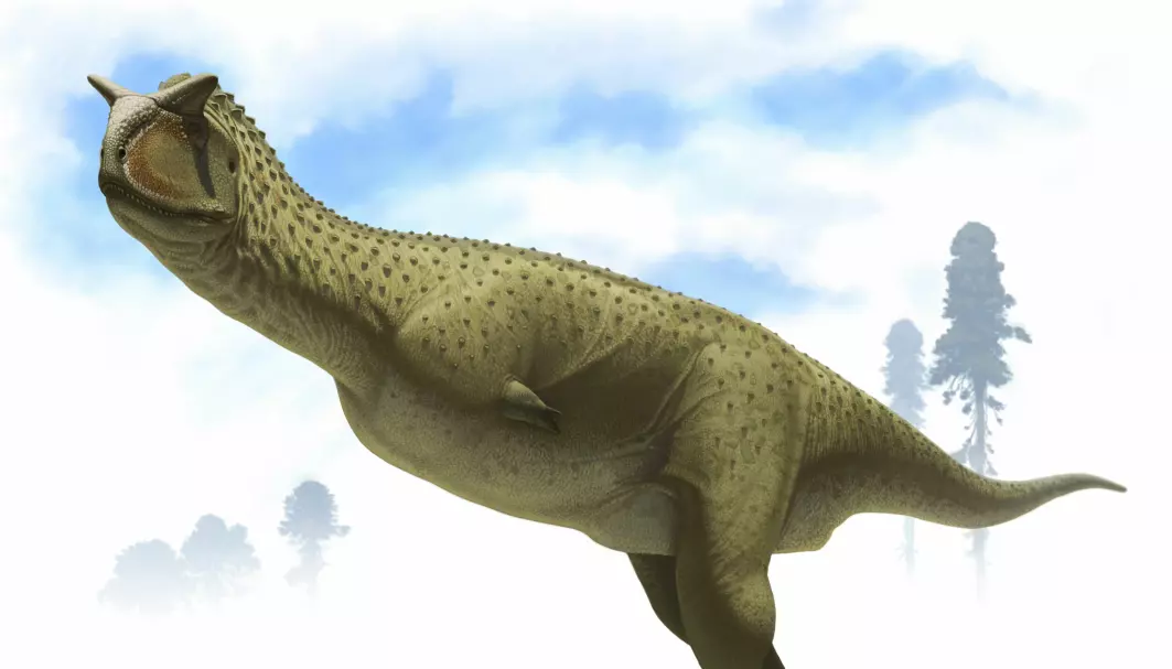 Den nyoppdagede dinosauren kan ha lignet på Carnotaurus, en annen dinosaur fra samme slekt, som er tegnet her.