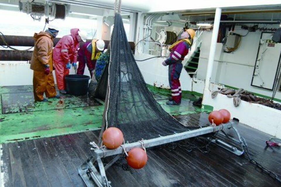 Fisk og andre levende ressurser i Barentshavet er blant oppgavene Norge og Russland må løse i fellesskap. Bildet viser norske og russiske forskere på forskningsfartøyet 'G.O. Sars'. (Foto: Havforskningsinstituttet)