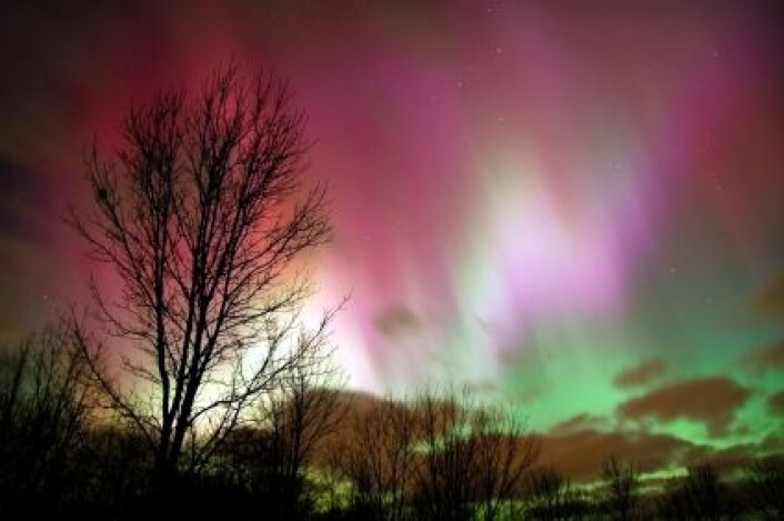 "Det er solvinden, i kollisjon med jordas magnetfelt, som lager det spektakulære nordlyset. (Foto: iStockphoto)" "Det er solvinden, i kollisjon med jordas magnetfelt, som lager det spektakulære nordlyset. (Foto: iStockphoto)"