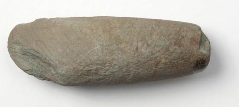 I en grav fra jernalderen fant forskerne en grønnsteinsøks fra steinalderen. (Foto: Terje Tveit, Arkeologisk museum)