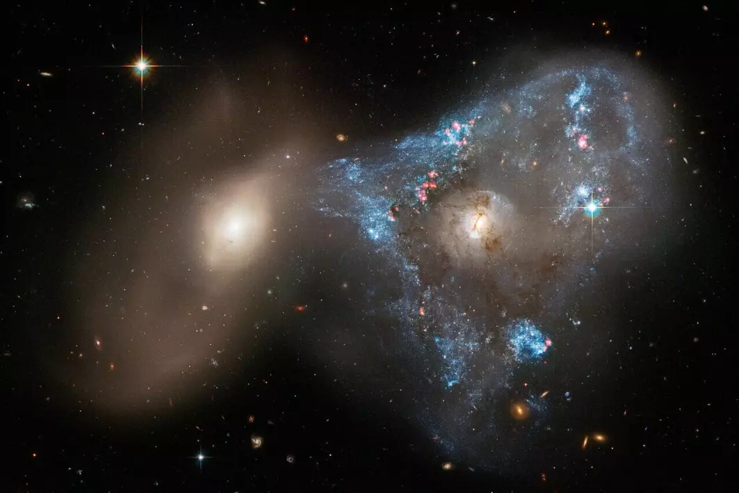To galakser har krasjet. Til høyre ligger galaksen som kalles NGC 2445, midt i et triangel av gass og nye stjerner. Til venstre ligger galaksen NGC 2444. Den drar og trekker i triangelet.
