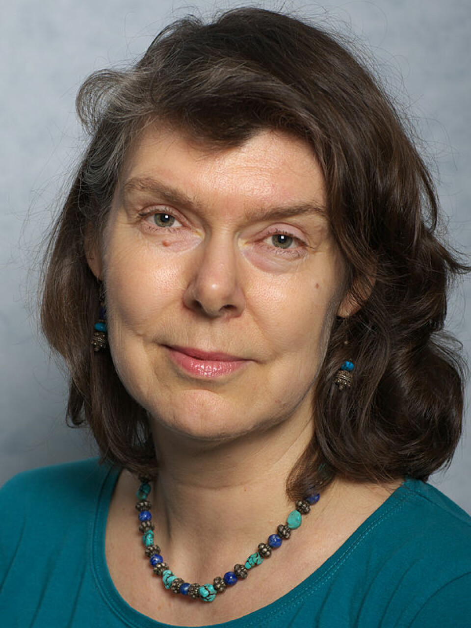 Helle Margrete Meltzer, avdelingsdirektør ved Avdeling for mattrygghet og ernæring, Divisjon for miljømedisin, Nasjonalt folkehelseinstitutt. (Foto: Privat)