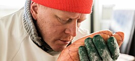 The Norwegian company Hrogn uses research to document food safety