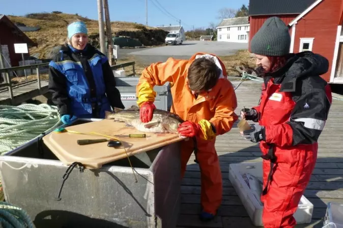 Helle Tessand Baalsrud (til venstre), Michael Matschiner and Sissel Jentoft på feltarbeid i Nord-Norge.