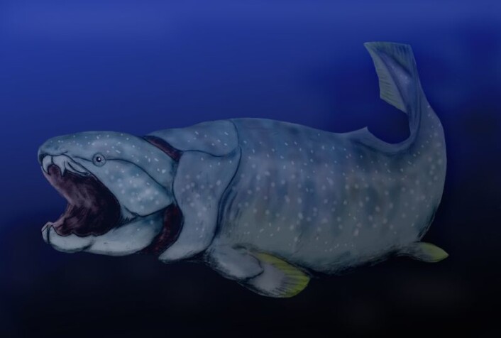 De første landplantene produserte nok oksygen til at store kjøttetere og andre komplekse dyr kunne oppstå, som for eksempel den opp mot ti meter lange monsterfisken Dunkleosteus. (Illustrasjon: Nobu Tamura) De første landplantene produserte nok oksygen til at store kjøttetere og andre komplekse dyr kunne oppstå, som for eksempel den opp mot ti meter lange monsterfisken Dunkleosteus. (Illustrasjon: Nobu Tamura)