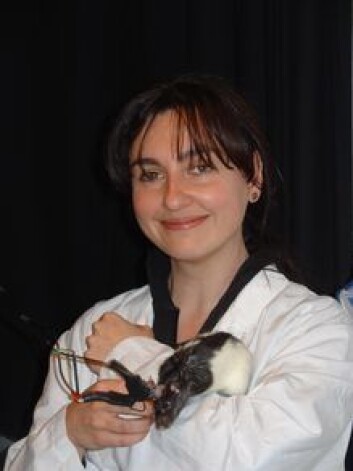 "Francesca Sargolini er post doc. ved Moserlaboratoriet, og hovedforfatter på den nye studien." "Francesca Sargolini er post doc. ved Moserlaboratoriet, og hovedforfatter på den nye studien."