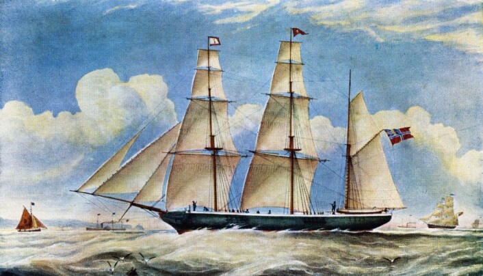 En sjømann på egersundskipet Emigrant brakte et stykke sedertre med seg en gang midt på 1800-tallet. (Arkiv: Dalane Folkemuseum) En sjømann på egersundskipet Emigrant brakte et stykke sedertre med seg en gang midt på 1800-tallet. (Arkiv: Dalane Folkemuseum)