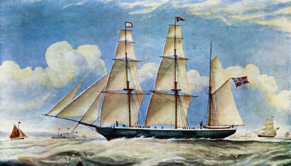 En sjømann på egersundskipet Emigrant brakte et stykke sedertre med seg en gang midt på 1800-tallet. (Arkiv: Dalane Folkemuseum)