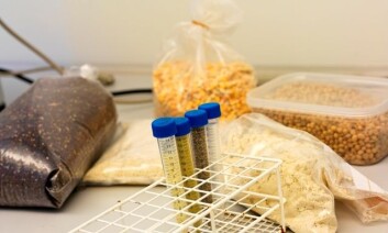 Veterinærinstituttet har selv utviklet metodene for å undersøke matvarer for allergener, og har fått tilsendt varer fra hele Europa til analyse. Veterinærinstituttet kan analysere alle stoffer som står oppført på EUs liste over allergener, som skal deklareres i henhold til EUs merkedirektiv. (Foto: Eivind Røhne, www.beyondtheice.no) Veterinærinstituttet har selv utviklet metodene for å undersøke matvarer for allergener, og har fått tilsendt varer fra hele Europa til analyse. Veterinærinstituttet kan analysere alle stoffer som står oppført på EUs liste over allergener, som skal deklareres i henhold til EUs merkedirektiv. (Foto: Eivind Røhne, www.beyondtheice.no)