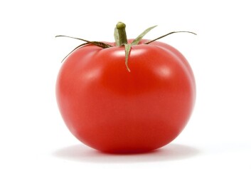 Foto: SHUTTERSTOCK Foto: SHUTTERSTOCK