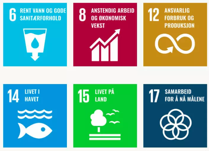 Dette er de seks bærekraftsmålene som FNs miljøprogram jobber for.