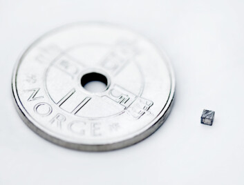 Ei miniatyrvarmepumpe er ein kubikkmillimeter stor. (Foto: Elisabeth Tønnessen) Ei miniatyrvarmepumpe er ein kubikkmillimeter stor. (Foto: Elisabeth Tønnessen)