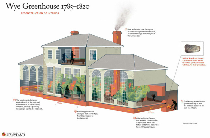 En skjematisk oversikt over hvordan drivhuset ble drevet mellom 1785 og 1820. (Illustrasjon: Brian Payne/UMD)