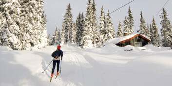 De fleste mener at det sentrale med hyttelivet er naturkontakt. De fleste mener at det sentrale med hyttelivet er naturkontakt.