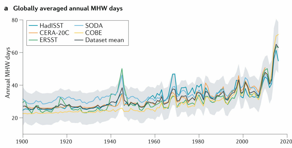 Marine heatwaves have increased in frequency since 1900.