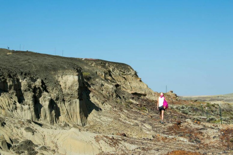 Melanie During dro til fossilplassen Tanis i Nord-Dakota i 2017.