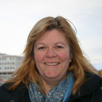 Marianne Helene Storjord etterlyser sterkere innslag av det samiske i samiske barnehager. I doktoravhandlingen sin finner hun at det er det norske som dominerer. (Foto: Birgit Røe Mathisen) Marianne Helene Storjord etterlyser sterkere innslag av det samiske i samiske barnehager. I doktoravhandlingen sin finner hun at det er det norske som dominerer. (Foto: Birgit Røe Mathisen)