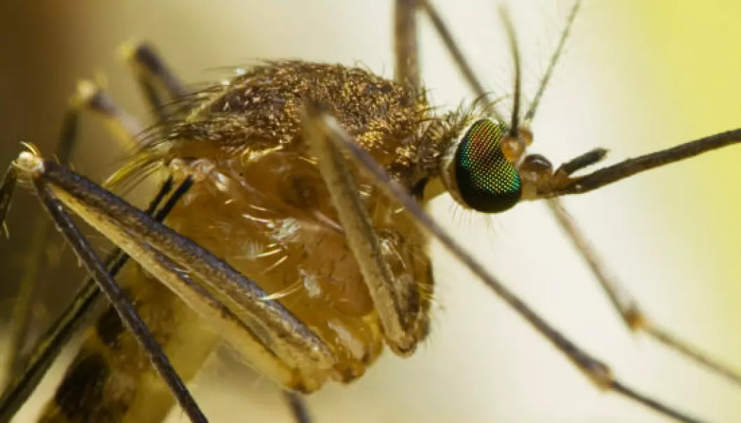Advarer mot  myggmiddel
