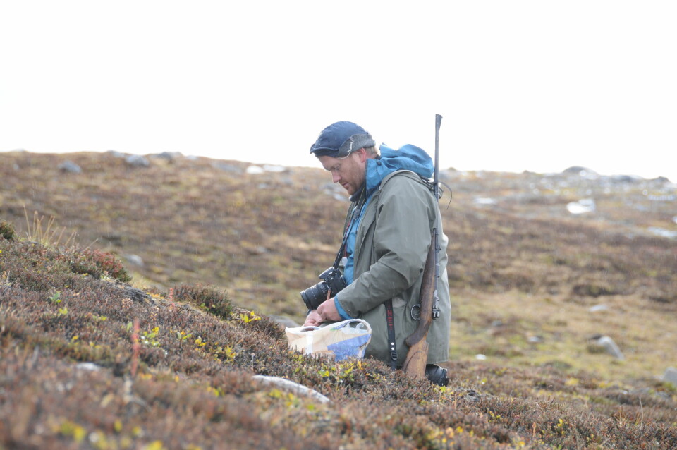 Forsker Tommy Prestø samler mose. (Foto: Kristian Hassel)