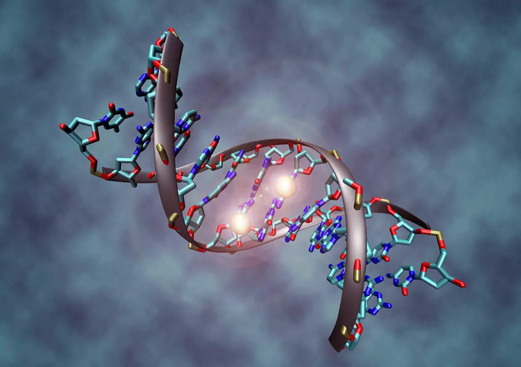 Figuren viser en bit av en DNA-tråd, der genene er beskrevet. Men på et sted i tråden er det satt på en slags merkelapper - de lysende kulene. Dette er epigenetiske merkelapper som bestemmer hvordan akkurat dette genet skal reguleres. Det finnes studier som viser at ME-syke ofte har visse slike epigenetiske reguleringer.
