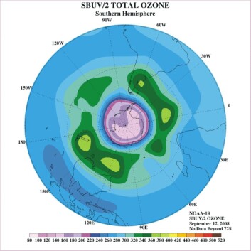 Denne figuren viser hvor ozonlaget er tynnest på den sørlige halvkule. Det lys lilla feltet over Sørpolen indikerer hvor ozonlaget er aller tynnest. (Illustrasjon: NOAA) Denne figuren viser hvor ozonlaget er tynnest på den sørlige halvkule. Det lys lilla feltet over Sørpolen indikerer hvor ozonlaget er aller tynnest. (Illustrasjon: NOAA)