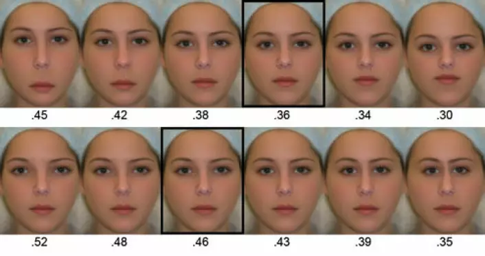 Eksempler på ansikter med ulikt forhold mellom lengde og bredde. Ansikter med et gjennomsnittlig forhold mellom lengde eller bredde ble utpekt som mest attraktive. Disse er rammet inn i svart. (Ill.: Pamela Pallett, UC San Diego)