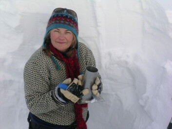 Elisabeth Isaksson har ledet prosjektet som har fastlagt temperaturutviklingen på Svalbard og i Nord-Norge. (Foto: Sviceclim) Elisabeth Isaksson har ledet prosjektet som har fastlagt temperaturutviklingen på Svalbard og i Nord-Norge. (Foto: Sviceclim)