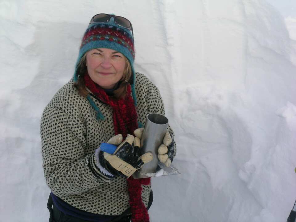 Elisabeth Isaksson har ledet prosjektet som har fastlagt temperaturutviklingen på Svalbard og i Nord-Norge. (Foto: Sviceclim)
