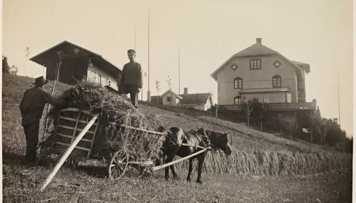 Livet på bygda i Norge kunne være hardt, og dermed ble kvinnenes innsats verdsatt høyt. Her fra Gausdal i 1908.