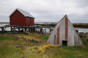 Ærfuglhus på øyværet Lånan i Vega kommune. (Foto: Morten Günther) Ærfuglhus på øyværet Lånan i Vega kommune. (Foto: Morten Günther)