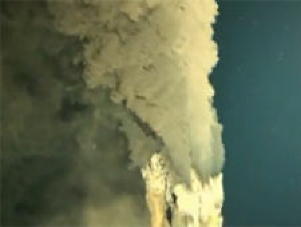 Forskerne fanget varmekilden på en video som viser hvordan varmt vann blir pumpet ut av de vulkanske pipene. (Foto: Skjermdump fra YouTube, se videoen her)