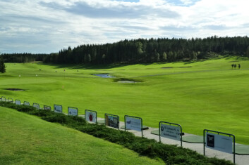 Gressarten hundekvein egner seg best på norske golfbaner. Her fra Mørk Golf. (Foto: Marianne Mork-Olsvik) Gressarten hundekvein egner seg best på norske golfbaner. Her fra Mørk Golf. (Foto: Marianne Mork-Olsvik)