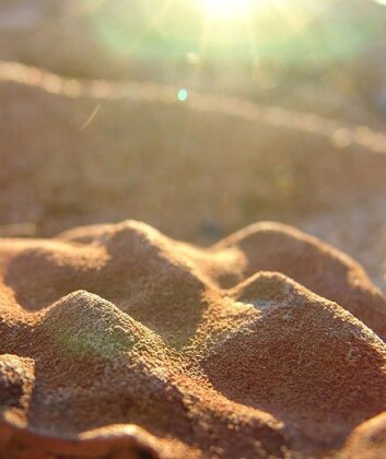 "Stromatolitter i Pilbara-området. Foto: Abigail Allwood" "Stromatolitter i Pilbara-området. Foto: Abigail Allwood"