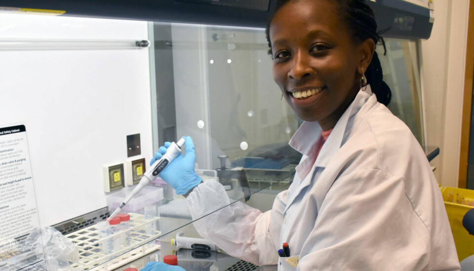 Why does inflammation occur in the blood vessels? Nathalie Niyonzima is one of the researchers who has uncovered an important cause.