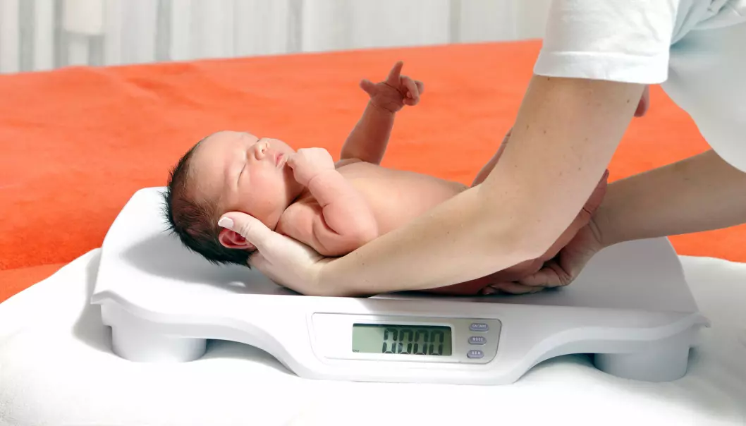 Newborn baby boy being weighed.