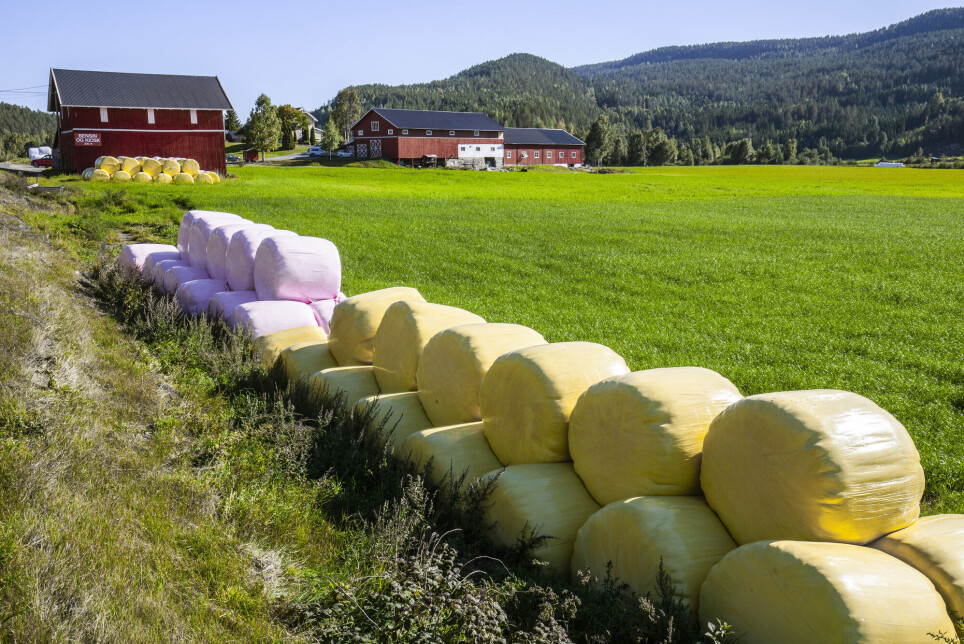 Rundballer på et jorde i Sigdal kommune i Buskerud.