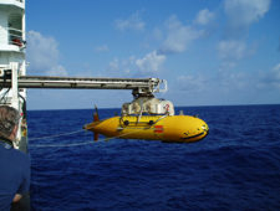 Denne ubemannede ubåten, kalt en Autosub6000, utforsket havbunnen på jakt etter varmekilder. (Foto: Rolf-Birger Pedersen)