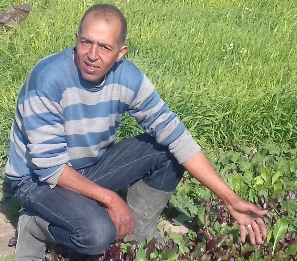Da revolusjonen kom til Tunisia, valgte Issan ben Chaaben å bruke sparepengene på å dyrke mat i stedet for å reise ulovlig til Europa.